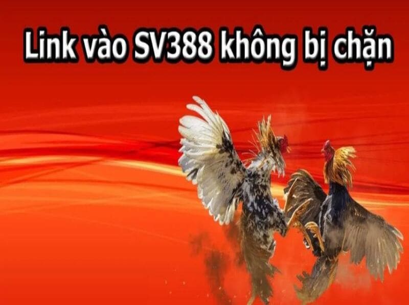 Link đăng nhập đá gà trực tiếp SV388 an toàn 