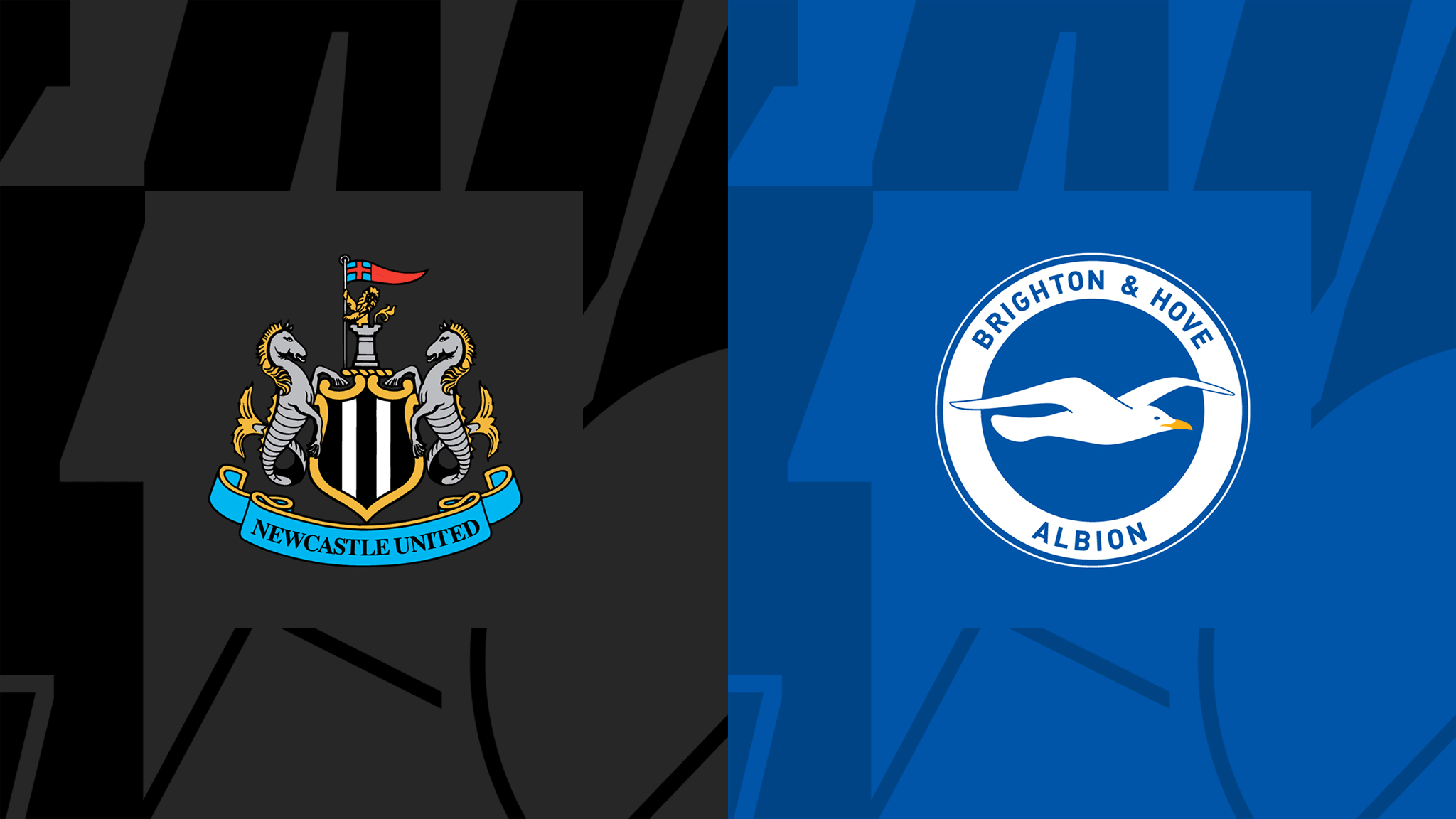 Soi kèo Newcastle vs Brighton