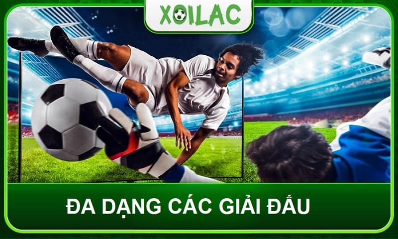 Website Xoilac phát sóng trực tiếp toàn bộ các giải đấu